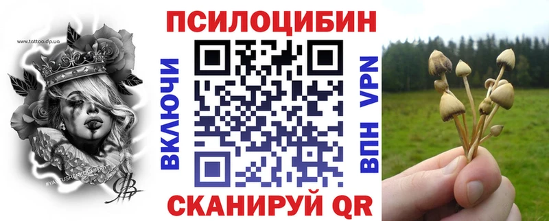 Купить  Серафимович  Псилоцибиновые грибы Cubensis 