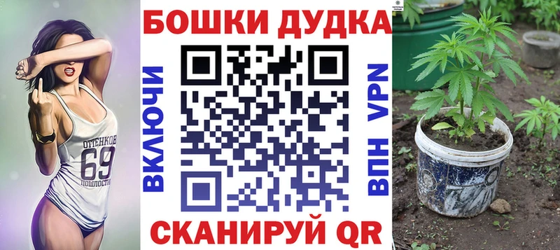 Шишки марихуана OG Kush  Купить закладки  Серафимович 